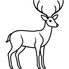 Deer black and white line drawing simple on white background