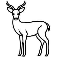 Deer black and white line drawing simple on white background