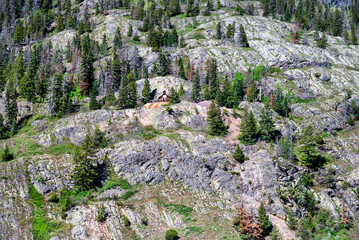 Fototapety na wymiar - Fototapeta24.pl