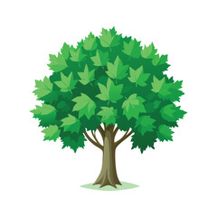 A Vibrant Green Maple Tree with Lush Foliage