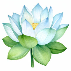 Blue Lotus Water Lily: An illustration of a serene blue lotus flower, showcasing its delicate petals, vibrant center, and lush green leaves.