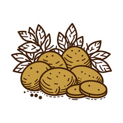 Fresh Potatoes: A Culinary Delight