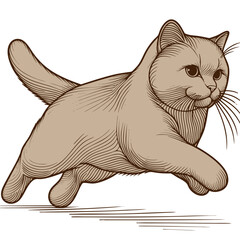 Elegant British Shorthair Cat in Motion: A Vintage Line Art Illustration