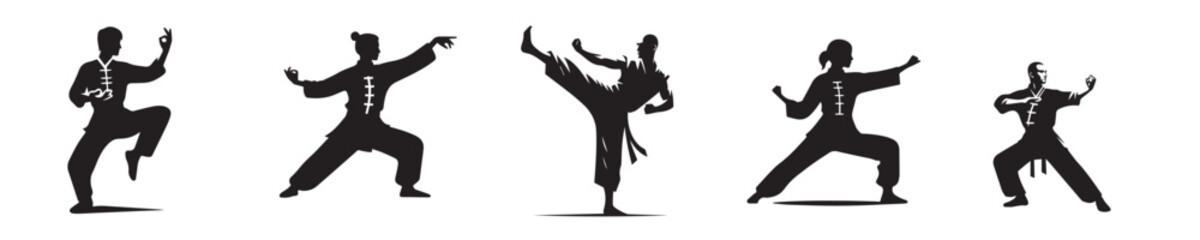 vector silhouette of a shaolin kungfu