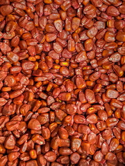 Red corn background