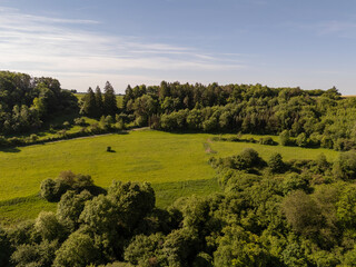 Valley with hills and Trees in Eifel Nature Park in Germany