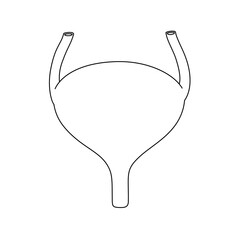 Bladder organ icon line drawing, hand drawn simple organ vector illustration, infographic line, illustration design for school science education.