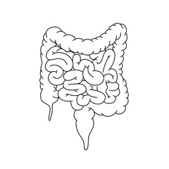 organ, semen, symbol, treatment, medical, education, gender, anatomy, line, concept, scientific, exhausted, isolated, scrotum, sick, gland, type, urethra, flat, drawing, penis, vector, canal, man, gra