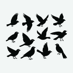Download a versatile collection of black bird silhouettes and vector bird icons. Includes simple bird symbols, outlines, and minimalistic bird illustrations in black and white — perfect for logos.