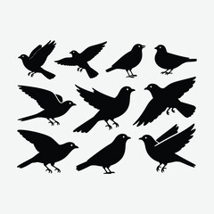 Download a versatile collection of black bird silhouettes and vector bird icons. Includes simple bird symbols, outlines, and minimalistic bird illustrations in black and white — perfect for logos.