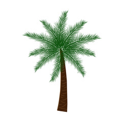 Palm tree vector icon, Editable palm tree isolated vector icon,