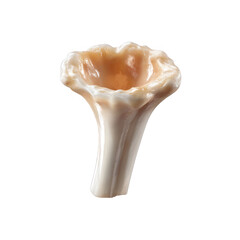 Obraz premium A beautifully shaped and polished shell, featuring intricate details and a smooth surface, perfect for marine-themed decor or culinary presentations, isolated on a white background