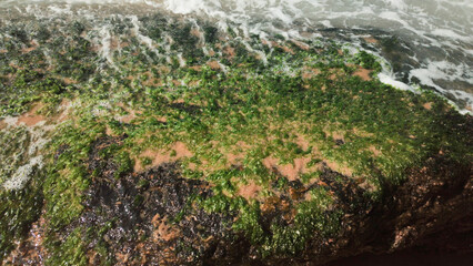 Urca neighborhood city Sugarloaf travel vacation life beautiful nature sky sea ocean beach foam splash water horizon landscape mountains stone rock detail close algae clean