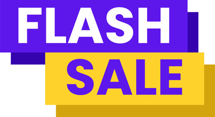 flash sale promotion banner modern