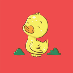 duck animal