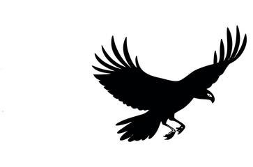 Flying Eagle Silhouette Vector Illustration.