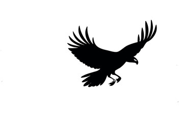 Flying Eagle Silhouette Vector Illustration.