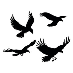 Flying Eagle Silhouette Vector Illustration.