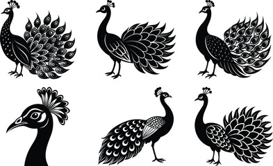 peacock design vector silhouette,peacock head silhouette , Peacock silhouette floral design template,set of vector peacock feather isolated on white Background.
