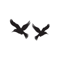 Fototapeta premium silhouette birds an vector icon design