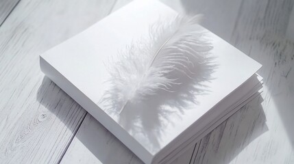 White Feather on Stack of Blank Paper Minimalist Still Life