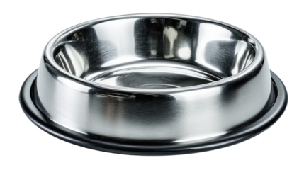 Stainless Steel Pet Bowl: A gleaming stainless steel pet bowl, ready for mealtime, showcasing its metallic surface, reflecting the subtle light, a modern, clean and simple design.