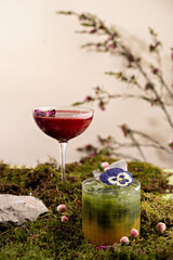 A delightful arrangement of summer cocktails showcases vibrant colors and intricate garnishes, set atop a lush moss background with gentle flora. Enjoying the sunny day allows for relaxation