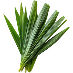 Pandan leaves