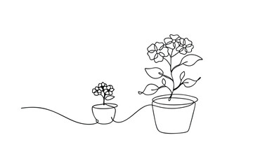 Simple hand drawn continuous line art of two potted hydrangea flowers on white background