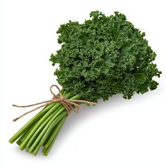 Fresh Green Kale Bunch Tied with Twine on Clean White Background Studio Shot