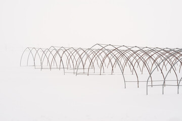 winter landscape with snow