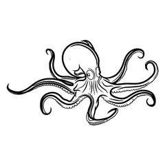 Illustration of octopus