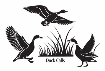 A versatile vector set showcasing various bird silhouettes in flight, perfect for nature, wildlife, or freedom-themed designs
