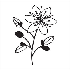 Meadow Rue – Soft Pastel Wildflowers for Natural Elegance and Botanical Art