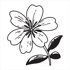 Milkweed Flower – Vibrant Native Blooms Supporting Monarch Butterflies and Wildlife