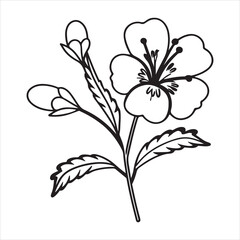 Mimosa Flower – Soft Pink Blooms for Romantic, Delicate, and Nature-Inspired Designs