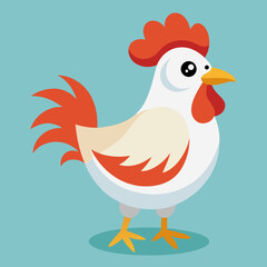 cute farm chicken