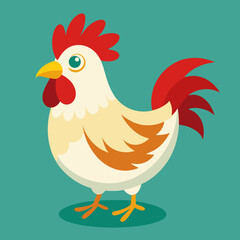 cute farm chicken