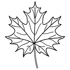 Simple maple leaf drawing, black and white, for educational materials