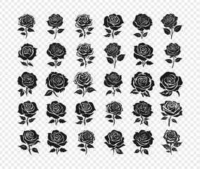 Monochrome Rose Collection: A captivating collection of monochrome rose illustrations, meticulously crafted to capture the timeless beauty of these classic blossoms.