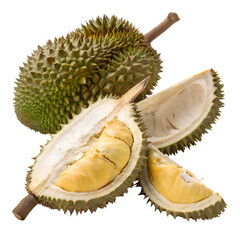 Fototapeta premium Durian Illustration Transparent Background