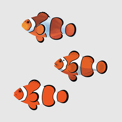 Clownfish silhouette against a clean white background