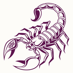 scorpion vector illustration