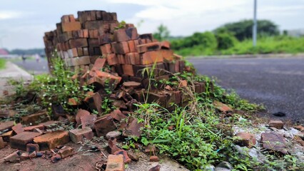 Pile of Discarded Bricks and Weeds by the Roadside