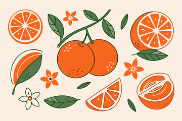 Orange Fruit Illustration: Clipart Set of Oranges, Leaves & Flowers