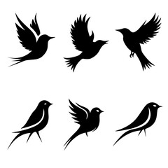 Collection of six unique bird silhouettes in various poses, including perched and flying forms, rendered in black on white, showcasing avian diversity and graphic elegance.