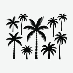 Download a premium palm tree silhouette vector set featuring clean black tropical palm designs. Ideal for summer themes, t-shirt prints, beach logos, digital artwork, and tropical decor. 