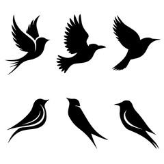 Collection of six unique bird silhouettes in various poses, including perched and flying forms, rendered in black on white, showcasing avian diversity and graphic elegance.