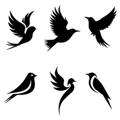 Collection of six unique bird silhouettes in various poses, including perched and flying forms, rendered in black on white, showcasing avian diversity and graphic elegance.