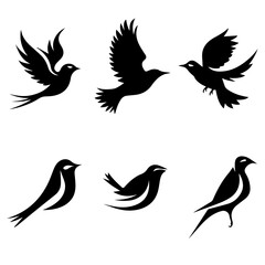 Collection of six unique bird silhouettes in various poses, including perched and flying forms, rendered in black on white, showcasing avian diversity and graphic elegance.